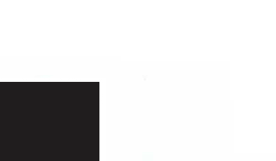 RAL 9005M <br> jet black matt